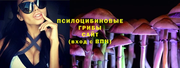 спиды Алексеевка
