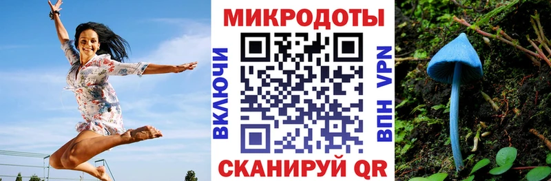 Галлюциногенные грибы мицелий  купить  цена  Бодайбо 