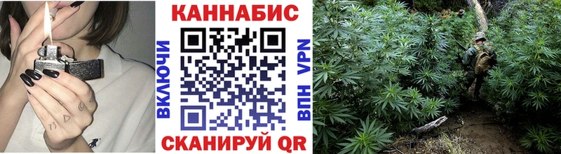 мега ссылки  Бодайбо  Марихуана конопля  где найти наркотики 